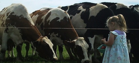 Nutrition et santé des animaux